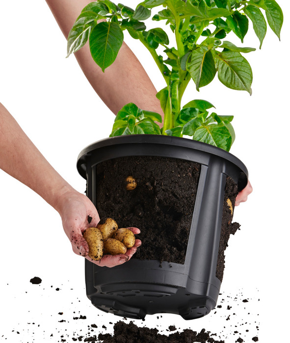 Kartoffelpot - H29,5 x Ø25,5 cm